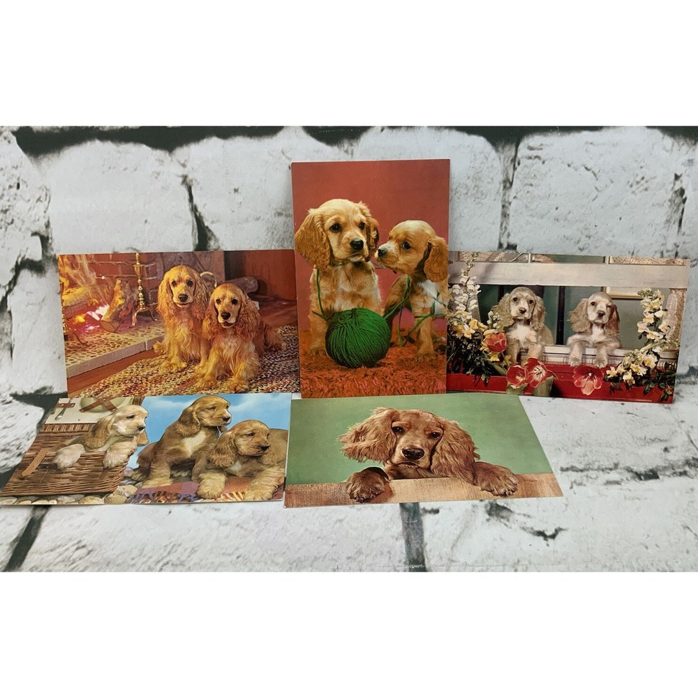 Vintage Postcard‎ Lot Puppy Dogs Cocker Spaniel Golden